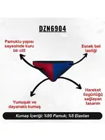 Bordo Mavi Erkek Slip  Darkzone DZN6904 farklı açı