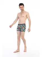 Çift Kaplan Erkek Boxer 796 Renkli Figür Dijital Baskı Görsel görsel 5