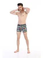 Çift Kaplan Erkek Boxer 796 Renkli Figür Dijital Baskı Görsel görsel 6