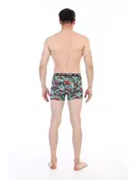 Çift Kaplan Erkek Boxer 796 Renkli Figür Dijital Baskı Görsel farklı açı