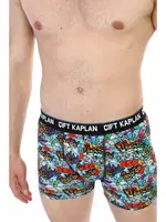 Çift Kaplan Erkek Boxer 796 Renkli Figür Dijital Baskı Görsel