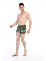 Çift Kaplan Erkek Boxer 796 Yazı Desenli Dijital Baskılı Görsel görsel 5