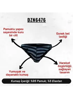 Darkzone Çizgili Desenli Antrasit Erkek Slip  Darkzone DZN6476 - Alternatif Görünüm