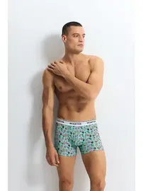 Wooster Cool Icecream Baskılı Pamuk Strech Cotton Erkek Boxer Wooster W-021 - 3 Adet