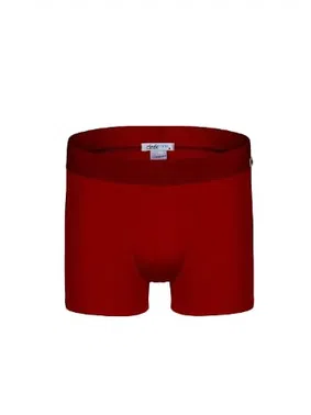 Darkzone Erkek Bordo Bambu Boxer Darkzone DZNBM2007
