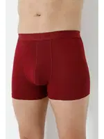 Erkek Bordo Bambu Boxer 3lü Paket Arma Yıldız 1172 - 3 ADET Bordo görsel 5
