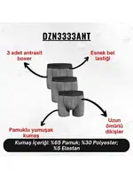 Erkek Boxer Antrasit 3'Lü Set Darkzone DZN3333ANT detay görünüm