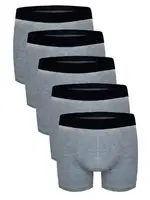 Erkek Boxer Gri 5'Li Set Darkzone DZN5555GR