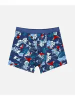 Erkek Çocuk Baskılı Boxer Likralı %96 Pamuk ÖTS 7265 - 6 ADET Mavi farklı açı