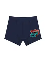 Erkek Çocuk Boxer Araba Serisi ÖTS 7704 - 6 ADET Lacivert farklı açı