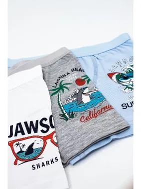 Öts İç Giyim Erkek Çocuk Boxer Okyanus Serisi ÖTS 7392 - 6 ADET - Alternatif Görünüm