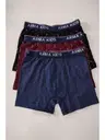 Erkek Çocuk Desenli Likralı Boxer 3'lü Paket Arma Yıldız 5541 - 3 ADET