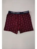 Erkek Çocuk Desenli Likralı Boxer 3'lü Paket Arma Yıldız 5541 - 3 ADET Görsel görsel 4
