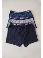 Erkek Çocuk Düz Likralı Boxer Arma Yıldız 5541 - 3 ADET Görsel