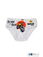 Erkek Çocuk Külot Likralı Resim Baskılı ÖTS 7245 - 6 ADET Gri