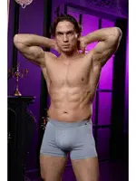 Erkek Gri Bambu Boxer Darkzone DZNBM2003