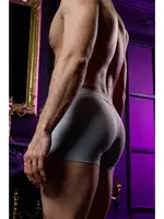 Erkek Gri Bambu Boxer Darkzone DZNBM2003 farklı açı