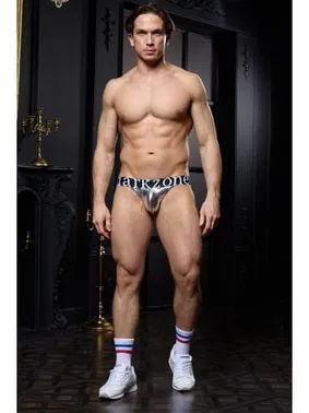 Darkzone Erkek Gri Deri Jockstrap  Darkzone DZN6793