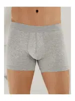 Erkek Gri Likralı Boxer 6'li Paket Arma Yıldız 1144 - 6 ADET Gri detay görünüm