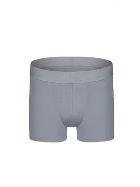 Darkzone Erkek Gri Organik Pamuk Boxer Darkzone DZN2153