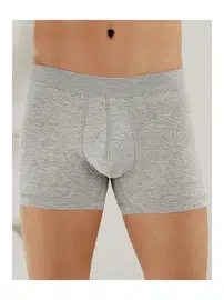 Arma Yıldız Erkek Gri Penye Likralı Boxer Arma Yıldız 1144