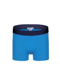 Darkzone Erkek Mavi Bambu Boxer Darkzone DZNBM2005