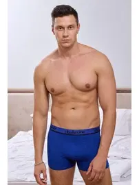 Darkzone Erkek Saks Modal Boxer Darkzone DZN2095