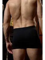 Erkek Siyah Bambu Boxer Darkzone DZNBM2001 detay görünüm