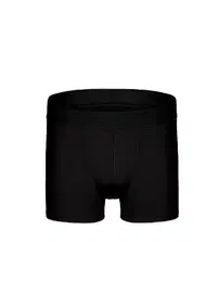 Darkzone Erkek Siyah Organik Pamuk Boxer Darkzone DZN2151