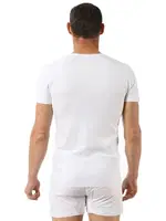 Erkek V Yaka Yarım Kol Pamuklu T-Shirt Fanila Özkan 0273 Beyaz detay görünüm