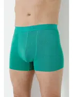 Erkek Yeşil Bambu Boxer 3lü Paket Arma Yıldız 1172 - 3 ADET Yeşil görsel 5