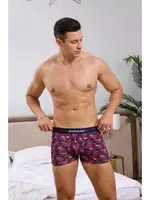 Flamingo Desenli Boxer (Dijital Baskılı) Darkzone DZN2062 detay görünüm