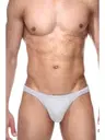 Gri Erkek Tanga  Darkzone DZN6623
