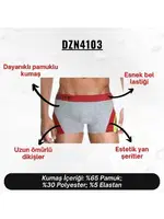 Gri Parçalı Desenli Erkek Boxer Darkzone DZN4103 görsel 4
