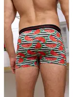 Karpuz Desenli Boxer (Dijital Baskılı) Darkzone DZN2061 görsel 4