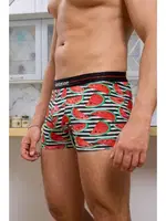 Karpuz Desenli Boxer (Dijital Baskılı) Darkzone DZN2061 görsel 5