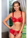 Kırmızı Minimizer Göğüs Toparlayıcı Sütyen ve Yüksek Bel Slip Külot Takım Gallipoli MGP31521