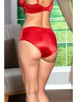 Kırmızı Minimizer Göğüs Toparlayıcı Sütyen ve Yüksek Bel Slip Külot Takım Gallipoli MGP31521 Kırmızı görsel 4