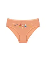 Kız Çocuk Külot Likralı Desenli Külot ÖTS 8202 - 6 ADET farklı açı