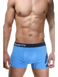 Darkzone Klasik Mavi Erkek Boxer Darkzone DZN2305