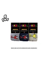 Aksu Konsept Erkek Çocuk Termal Havlu Külotlu Çorap 6'lı Aksu 009