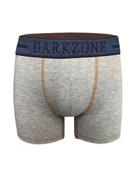 Darkzone Kot Lastiği Desenli Gri Erkek Boxer Darkzone DZN2903