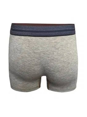 Darkzone Kot Lastiği Desenli Gri Erkek Boxer Darkzone DZN2903 - Alternatif Görünüm