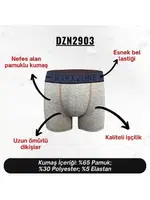 Kot Lastiği Desenli Gri Erkek Boxer Darkzone DZN2903 farklı açı