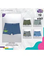 Erkek Çocuk Baskılı Boxer 12Li Kota 1005 Asorti