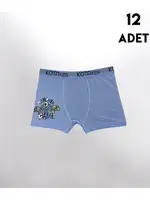 Erkek Çocuk Baskılı Boxer 12Li Kota 1005 Asorti detay görünüm