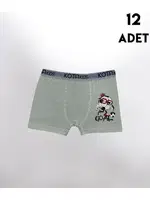 Erkek Çocuk Baskılı Boxer 12Li Kota 1005 Asorti görsel 4
