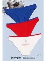 Karışık Renk Kadın Slip Külot 3Lü Koza Biat 35000-637 Asorti detay görünüm