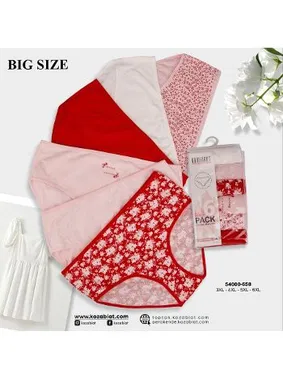 Koza Biat Bato Yüksek Bel Külot Büyük Beden 6 ADET Koza Biat KZ54000-658 - Alternatif Görünüm