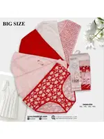 Bato Yüksek Bel Külot Büyük Beden 6 ADET Koza Biat KZ54000-658 Asorti detay görünüm